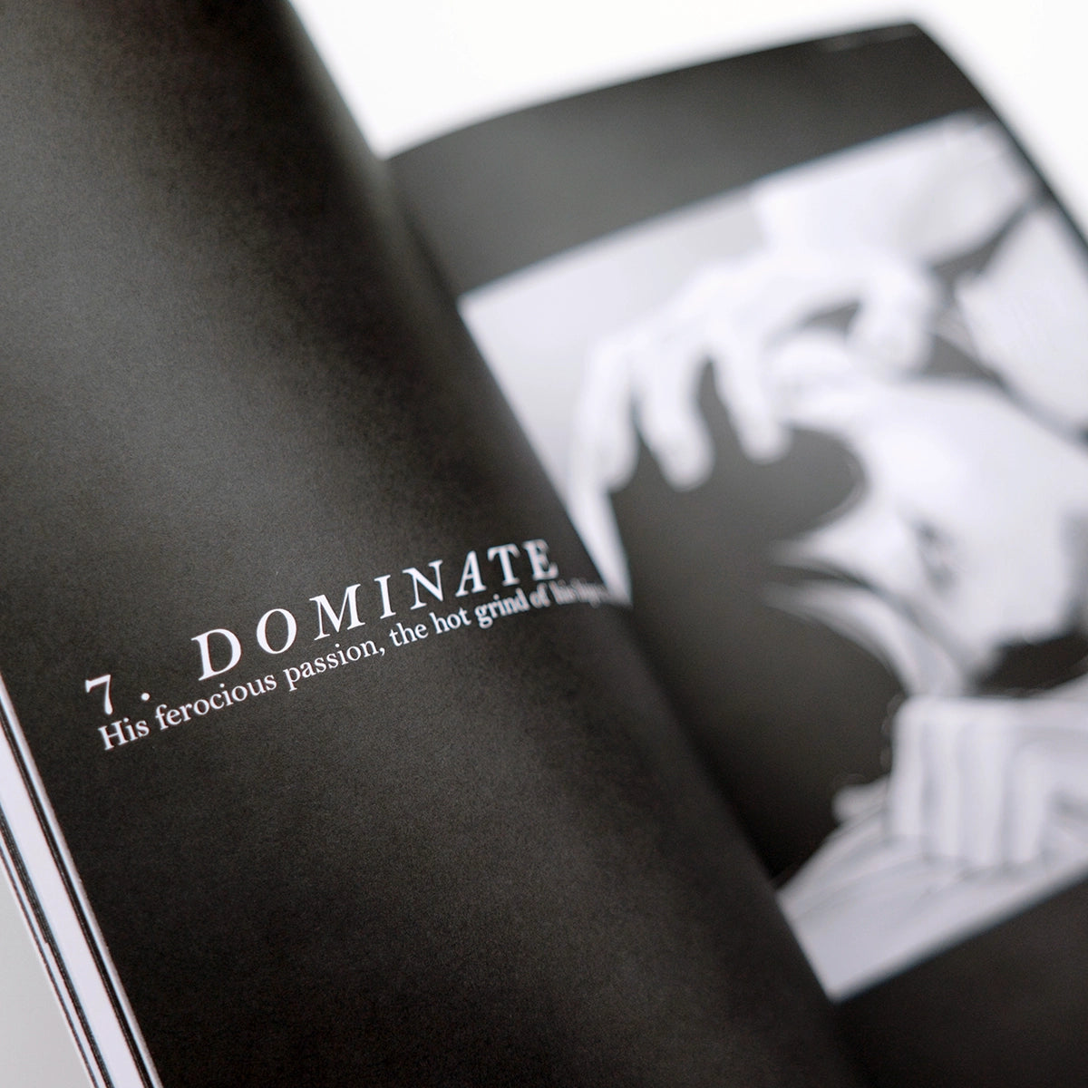 Knight's Choice "Possess" Minicomic Artbook